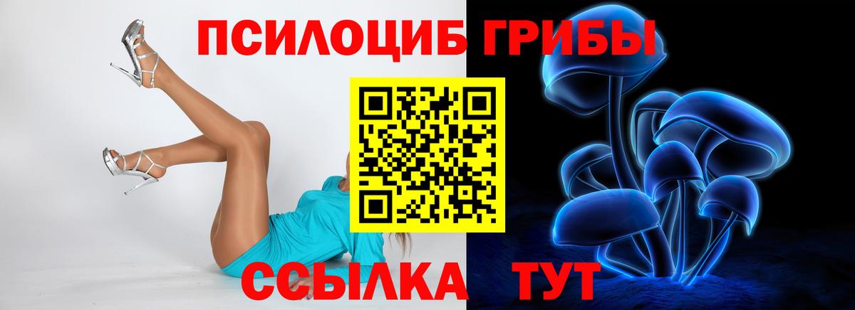 Псилоцибиновые грибы мухоморы  Псилоцибиновые грибы Psilocybine cubensis  Минусинск  Вход с VPN 